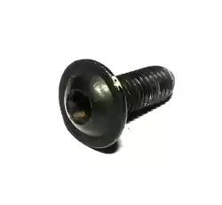 Here you can order the bolt, allen screw, m6 x 16mm from Ducati, with part number 77210423C: