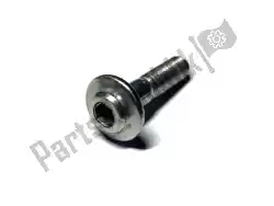 Here you can order the allen screw, m6×25mm from Ducati, with part number 77210971A: