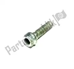Here you can order the bolt, allen screw, m4x15mm from Ducati, with part number 77156438B: