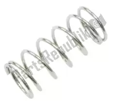 Here you can order the spring from Ducati, with part number 13440271A: