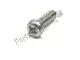 Screw Suzuki 1360248B10