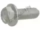 Screw w/ flange Piaggio Group 598839