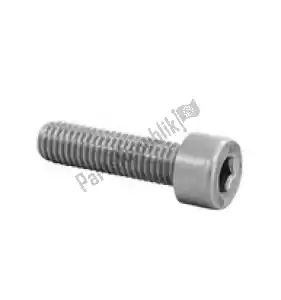 triumph T3050078 bolt, skt.cap, m8x30x1.25, 10.9 - Bottom side