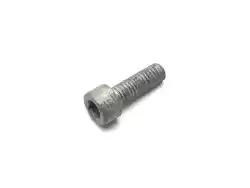 Here you can order the fillister-head screw - m6x18           from BMW, with part number 46542322498: