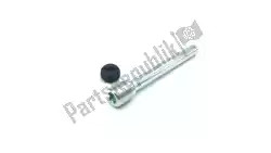 Here you can order the pad pin set from Triumph, with part number T2020084: