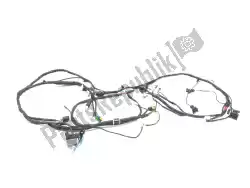 Here you can order the chassis cables unit from Piaggio Group, with part number 1D002539: