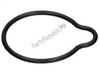 482186, Piaggio Group, gasket ring aprilia piaggio vespa  et habana hexagon lx liberty mojito sfera sfera rst 125 1995 1996 1997 1998 1999 2000 2001, New