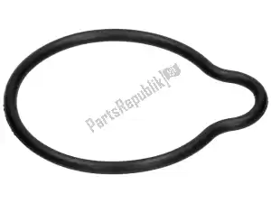 Piaggio Group 482186 gasket ring - Bottom side