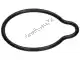 Gasket ring Piaggio Group 482186