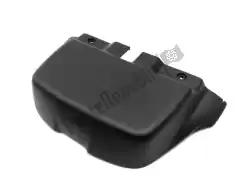 Here you can order the battery cover from Piaggio Group, with part number 620756000C: