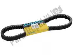 Qui puoi ordinare aandrijfriem (dim: 28-14 da Dayco , con numero parte 8190K: