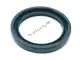 Gasket ring 22x29x4 Piaggio Group AP9100203