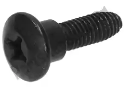 Here you can order the screw from Piaggio Group, with part number 575249: