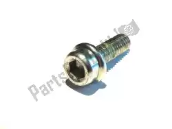 Here you can order the screw from Ducati, with part number 77140677CF: