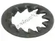 Rondella elastica piatta con dentatura interna 17x10,3x2 Piaggio Group 012543