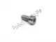 Tornillo Piaggio Group 00002051251