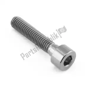 triumph T3050324 tappo a vite/hd m8 x 1,25 x 35 slv - Il fondo