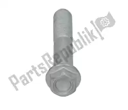 Here you can order the screw w/ flange m10x55 from Piaggio Group, with part number AP8152414: