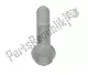 Screw w/ flange m10x55 Piaggio Group AP8152414