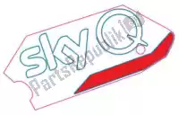 2H003437, Piaggio Group, lh side fairing decal 