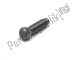 Adjuster screw Aprilia 82817R