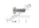 Vite a testa esagonale m6x14 Aprilia AP8152156