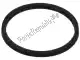 Gasket Piaggio Group 102587