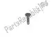 Flanged cap screw BMW 46632325999