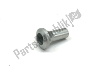 AP8161082, Aprilia, spacer bush, New