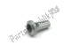 Spacer bush Aprilia AP8161082