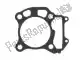 Gasket,cylinder Suzuki 1124103H00