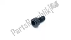 Here you can order the bolt,socket from Yamaha, with part number 913170601200: