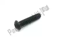 651297, Piaggio Group, tornillo de extremo grande convexo torx aprilia gilera piaggio  beverly bv gp srv x x10 zapm55103, zd4m55104, zapm55104 zapm69300, zapm69400 125 350 500 800 850 2009 2011 2012 2013 2014 2016 2017 2018 2019, Nuevo