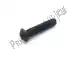 Parafuso de extremidade grande convexa torx Piaggio Group 651297