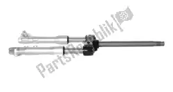 Here you can order the front fork assembly from Piaggio Group, with part number 1C000190R: