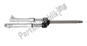 Piaggio Group 1C000190R front fork assembly - Bottom side