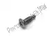 Screw c'sunk phil m5 x .08 x 16 Triumph T2700081