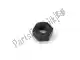 Nut(6ta) Yamaha 953170660000