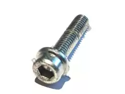 Here you can order the screw 6x25 from Ducati, with part number 77140697CF: