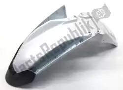 Here you can order the front fender from Piaggio, with part number 1759144917X9C1FC: