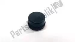 Here you can order the cap,head zl1000-a1 from Kawasaki, with part number 110121544: