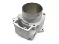11005Y006, Kawasaki, 01 cylinder-engine kawasaki kaf700 mule promx 700 , New