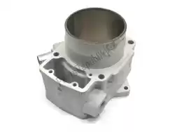Here you can order the 01 cylinder-engine from Kawasaki, with part number 11005Y006: