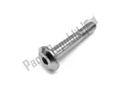 Here you can order the bolt,socket,10x58 zg1400a8f from Kawasaki, with part number 921531930:
