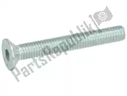 Here you can order the screw from Piaggio Group, with part number 576836: