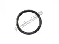 0928021013, Suzuki, o ring suzuki gs gsx 400 450 550 750 850 1100 1985 1986 1987 1988, Nieuw