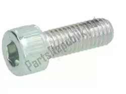 Here you can order the screw from Piaggio Group, with part number 598919: