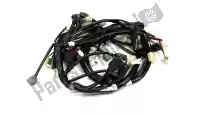 11DH25900100, Yamaha, conjunto de mazo de cables yamaha xt 660 2008 2009 2010 2011 2012 2015, Nuevo