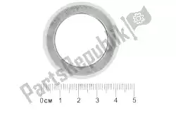 Here you can order the gasket from Piaggio Group, with part number GU19025280: