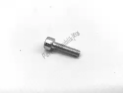 Here you can order the screw from Ducati, with part number 77150428B: